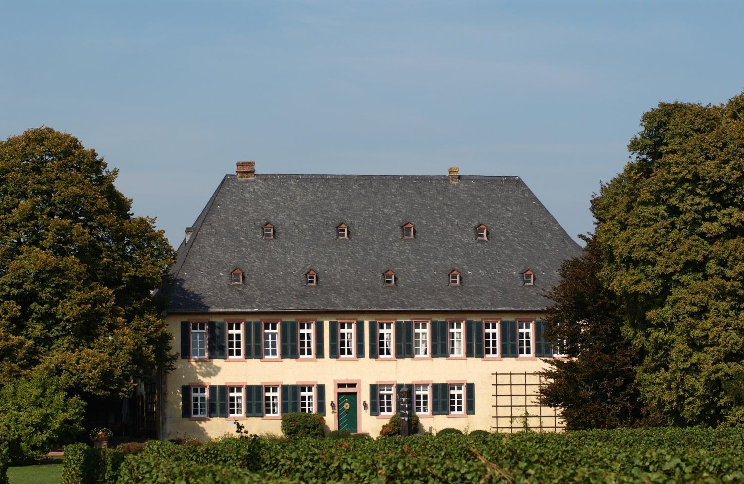 Gutshotel Baron Knyphausen Eltville am Rhein Екстериор снимка